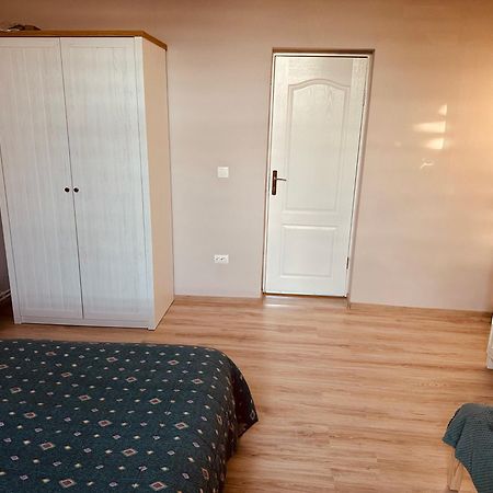 Serbian House Panzió Temesvár Kültér fotó