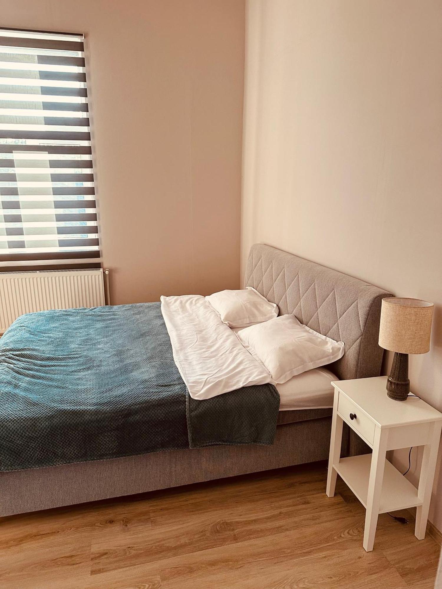 Serbian House Panzió Temesvár Kültér fotó