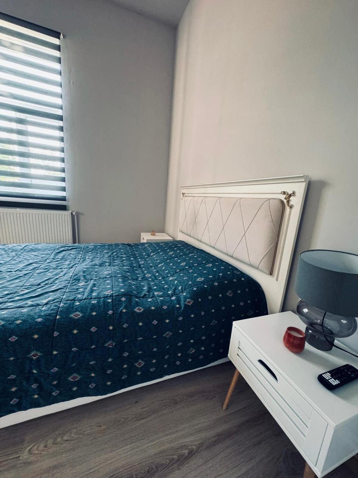 Serbian House Panzió Temesvár Kültér fotó