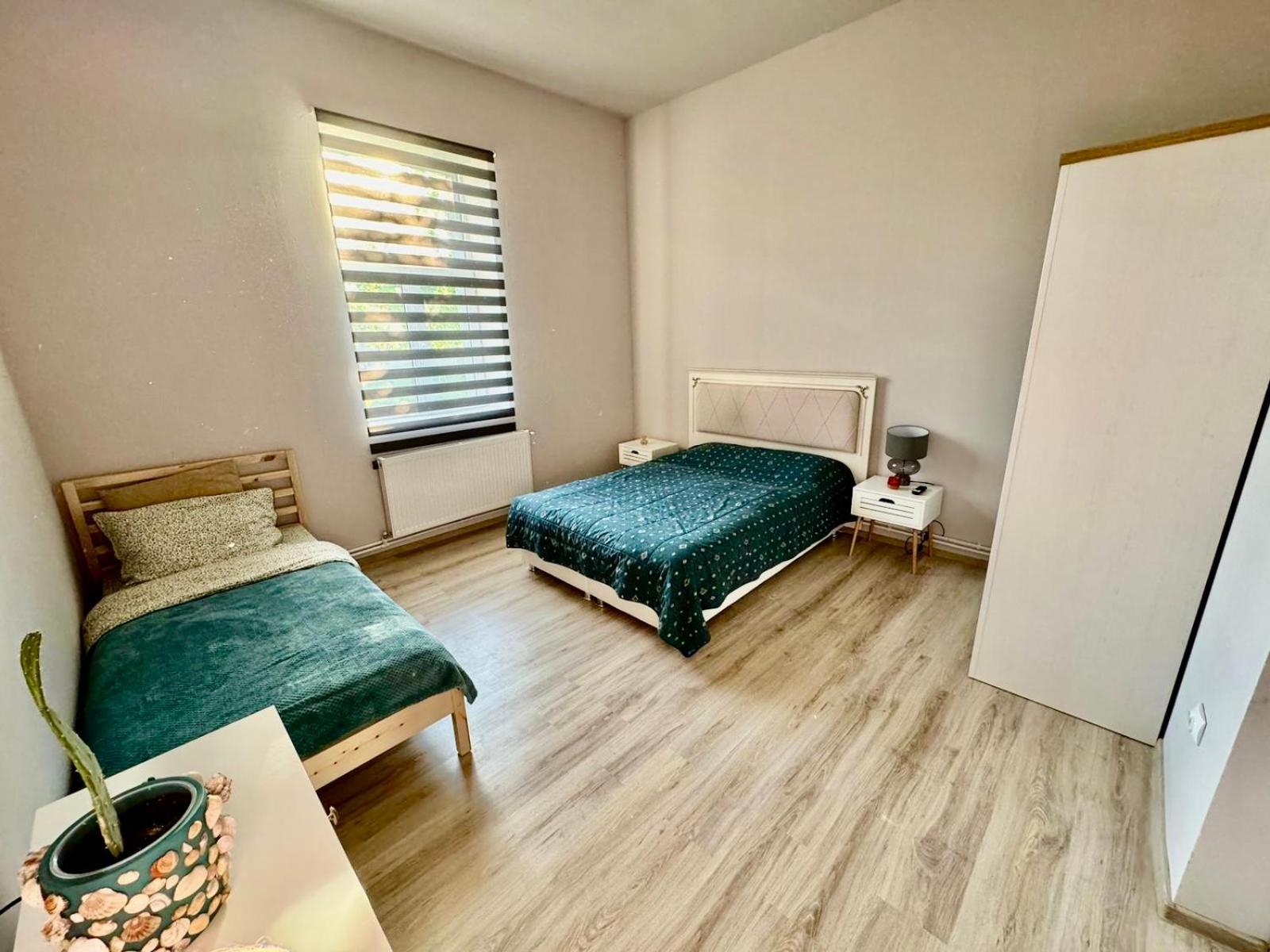 Serbian House Panzió Temesvár Kültér fotó