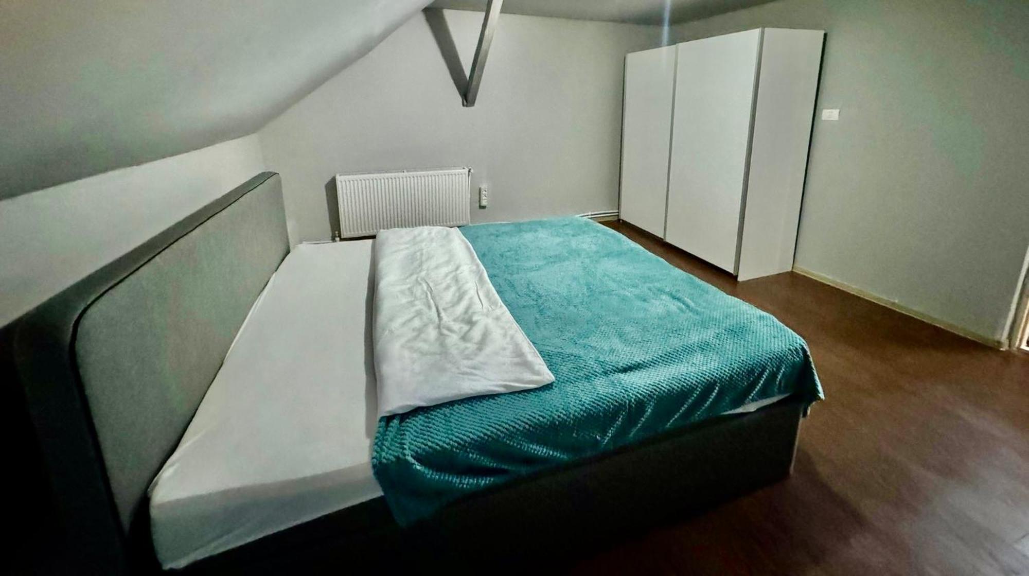 Serbian House Panzió Temesvár Kültér fotó