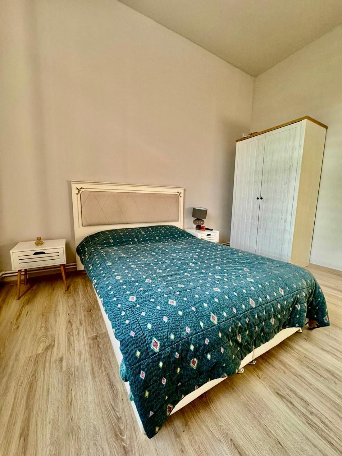Serbian House Panzió Temesvár Kültér fotó