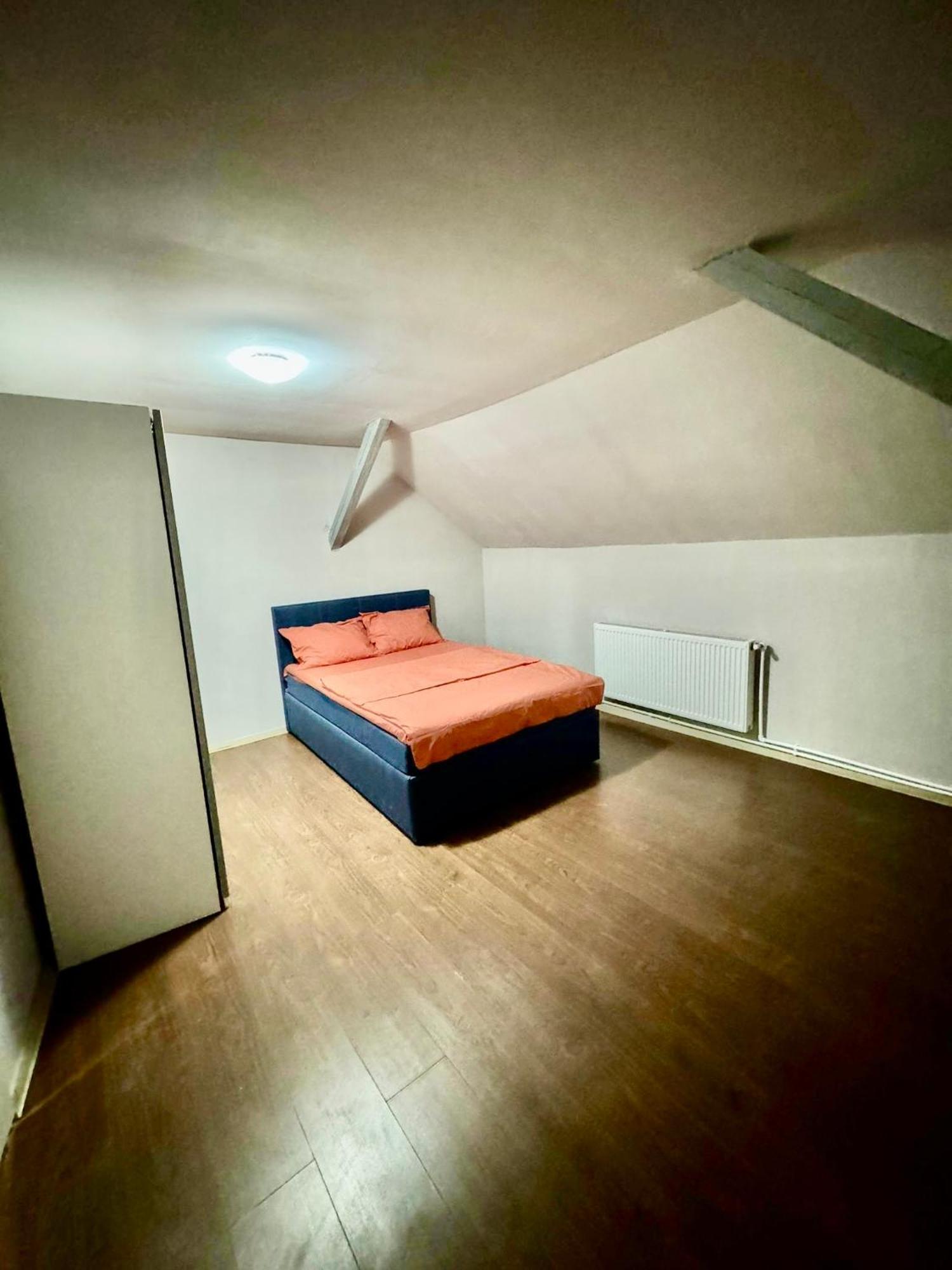 Serbian House Panzió Temesvár Kültér fotó