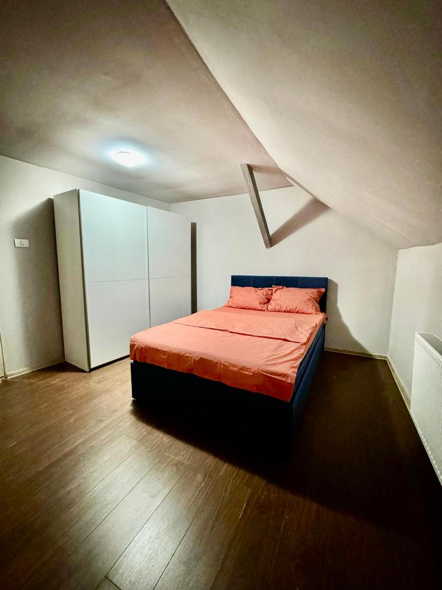 Serbian House Panzió Temesvár Kültér fotó