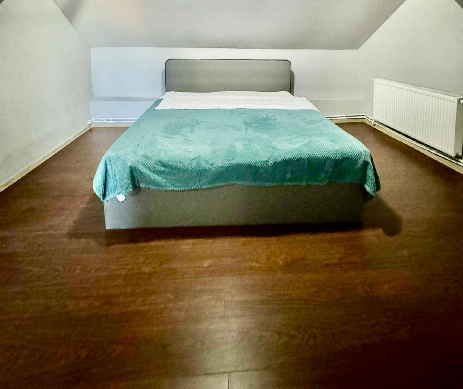 Serbian House Panzió Temesvár Kültér fotó