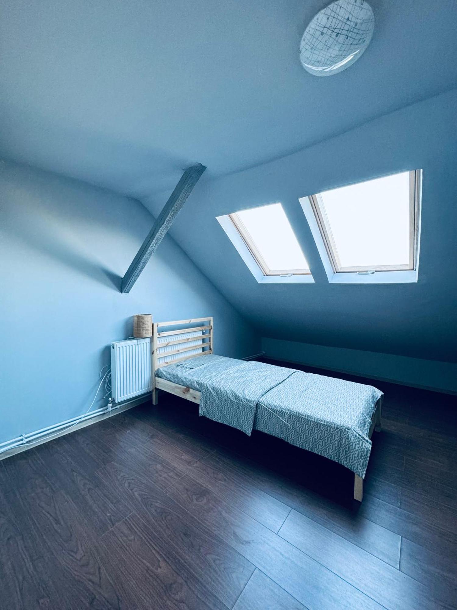 Serbian House Panzió Temesvár Kültér fotó