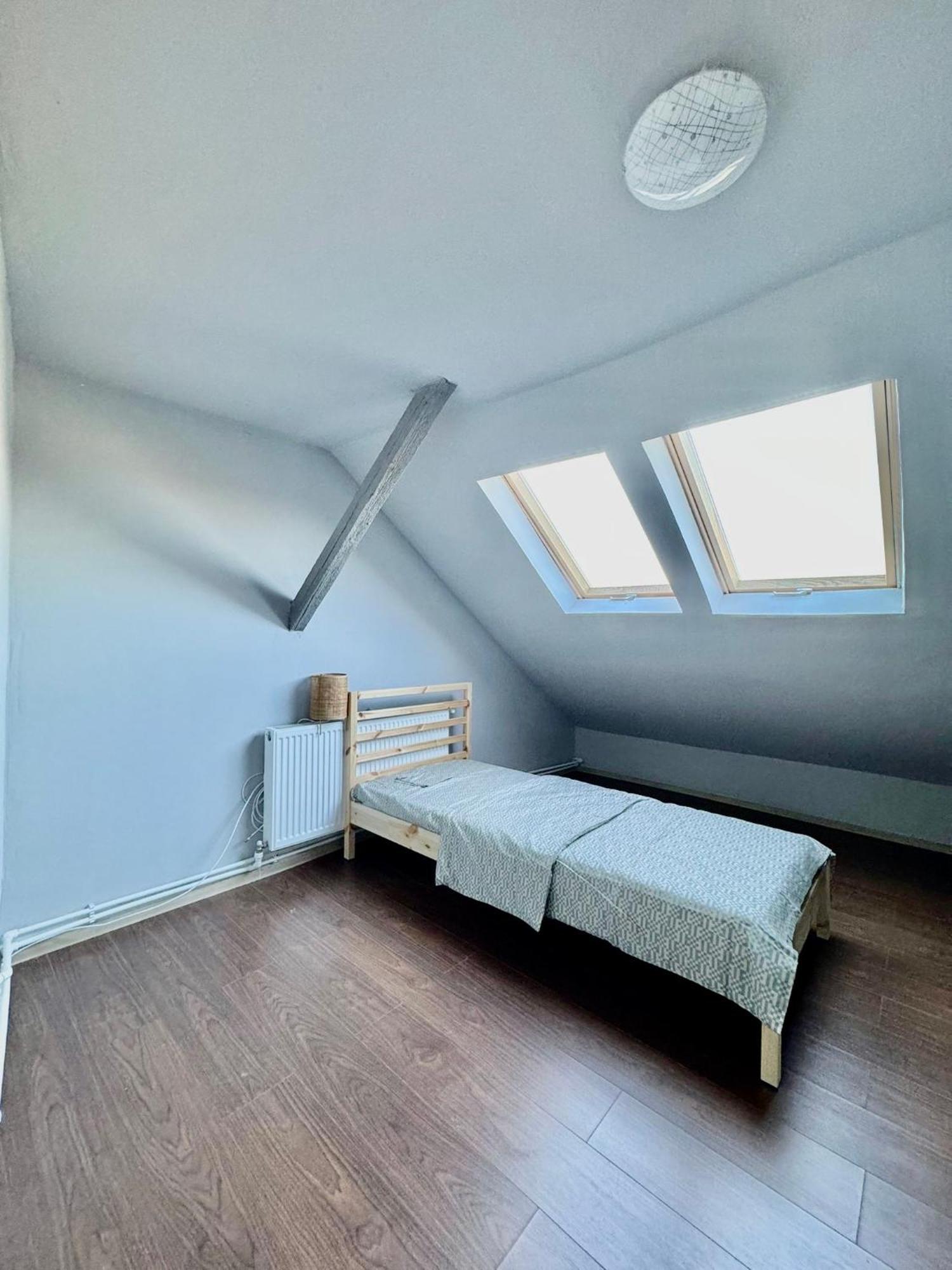 Serbian House Panzió Temesvár Kültér fotó