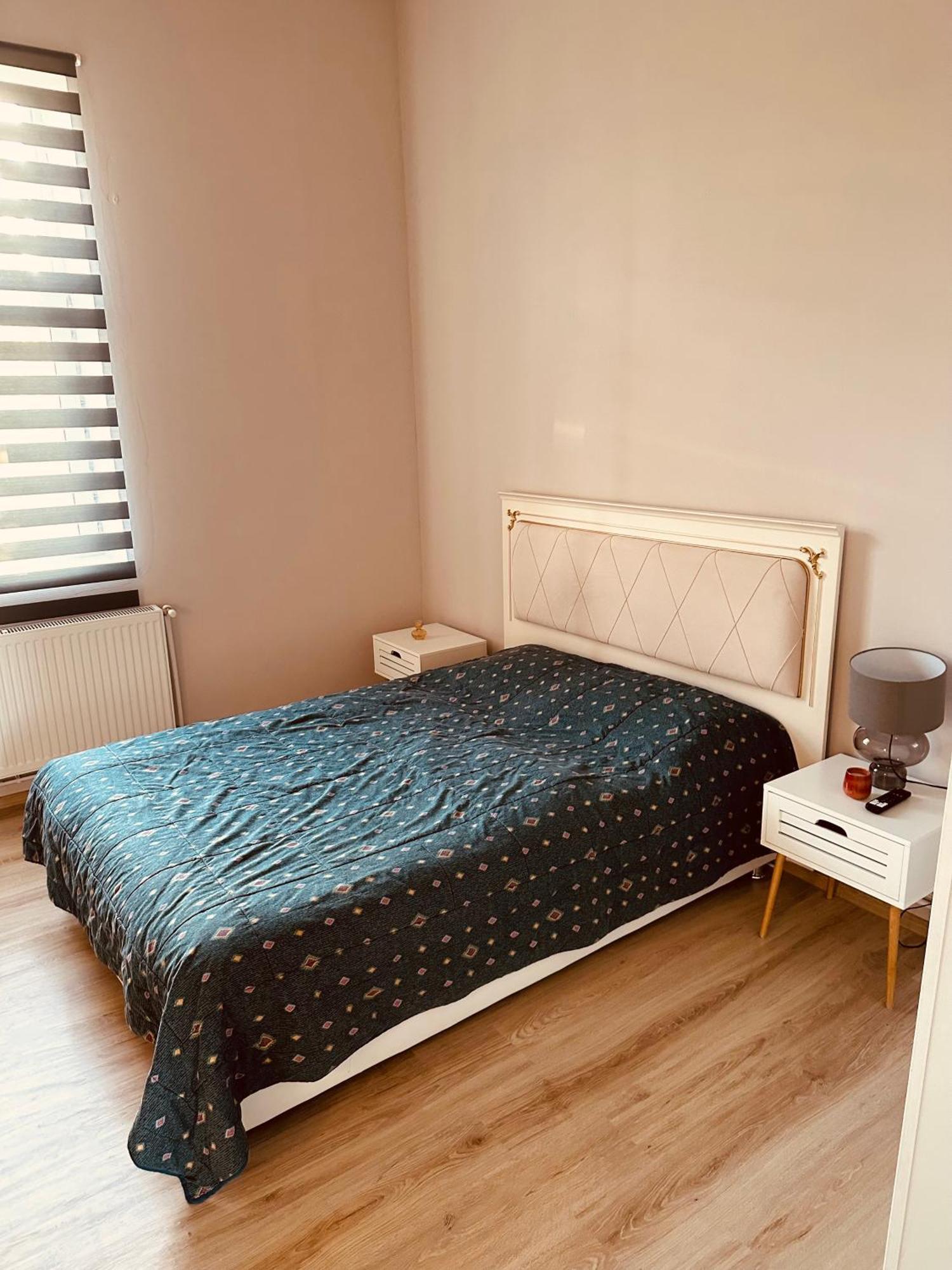 Serbian House Panzió Temesvár Kültér fotó