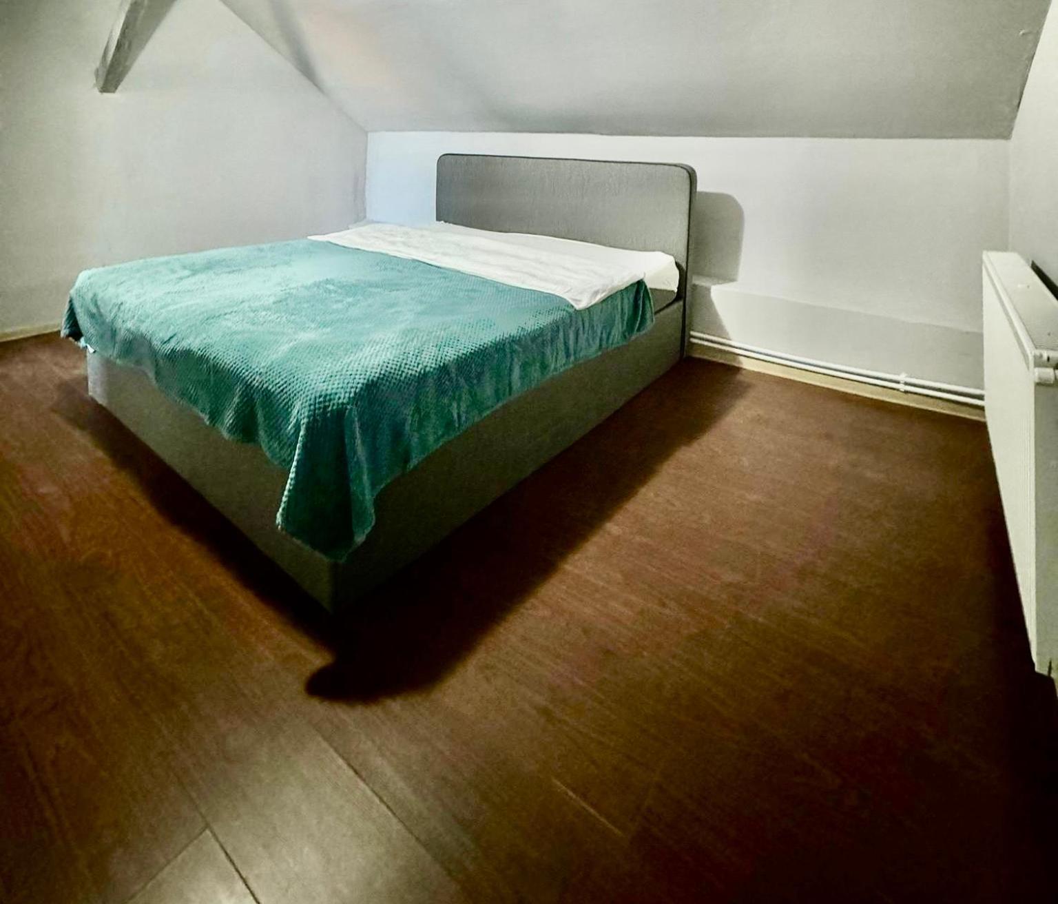 Serbian House Panzió Temesvár Kültér fotó