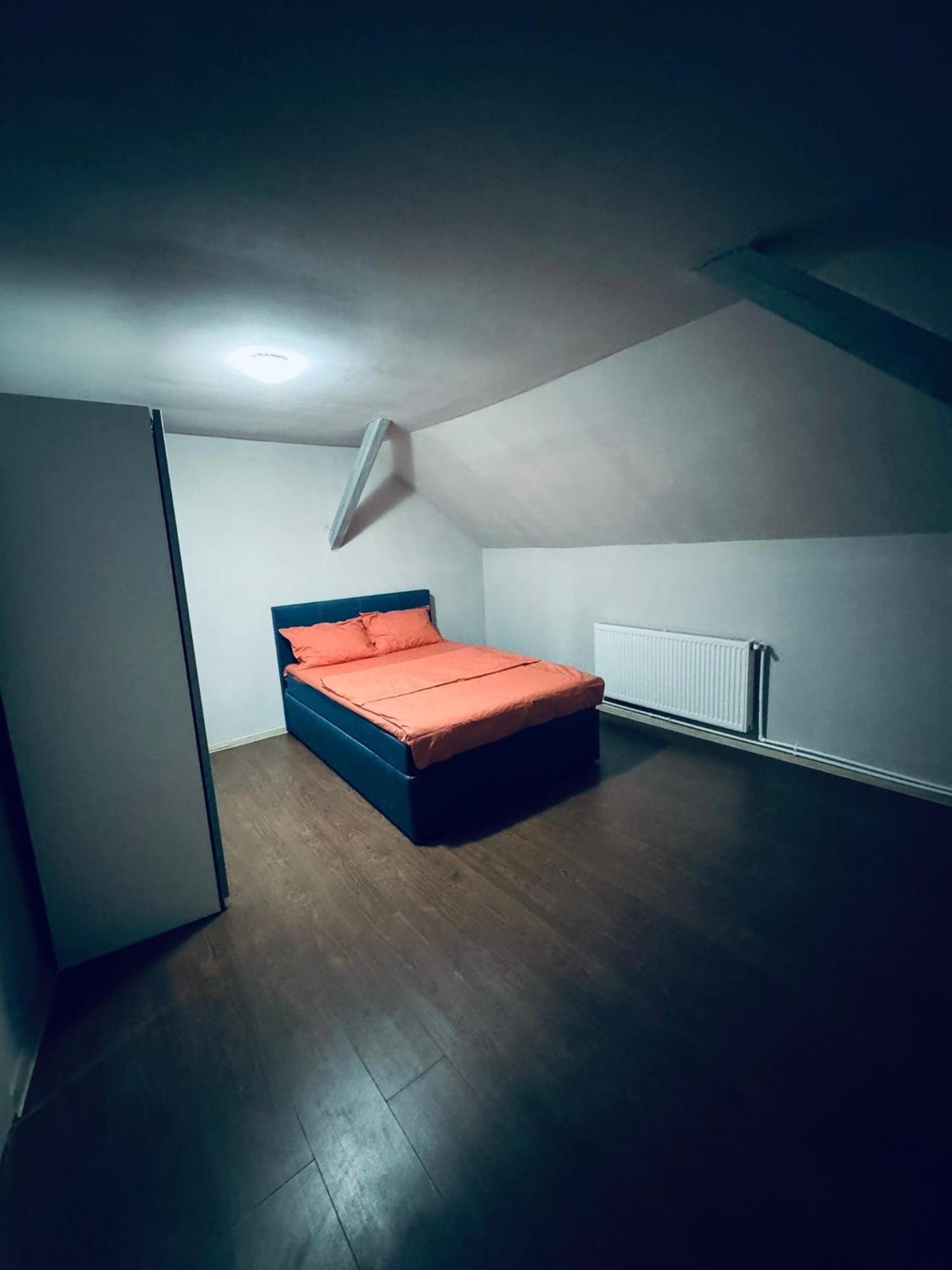 Serbian House Panzió Temesvár Kültér fotó