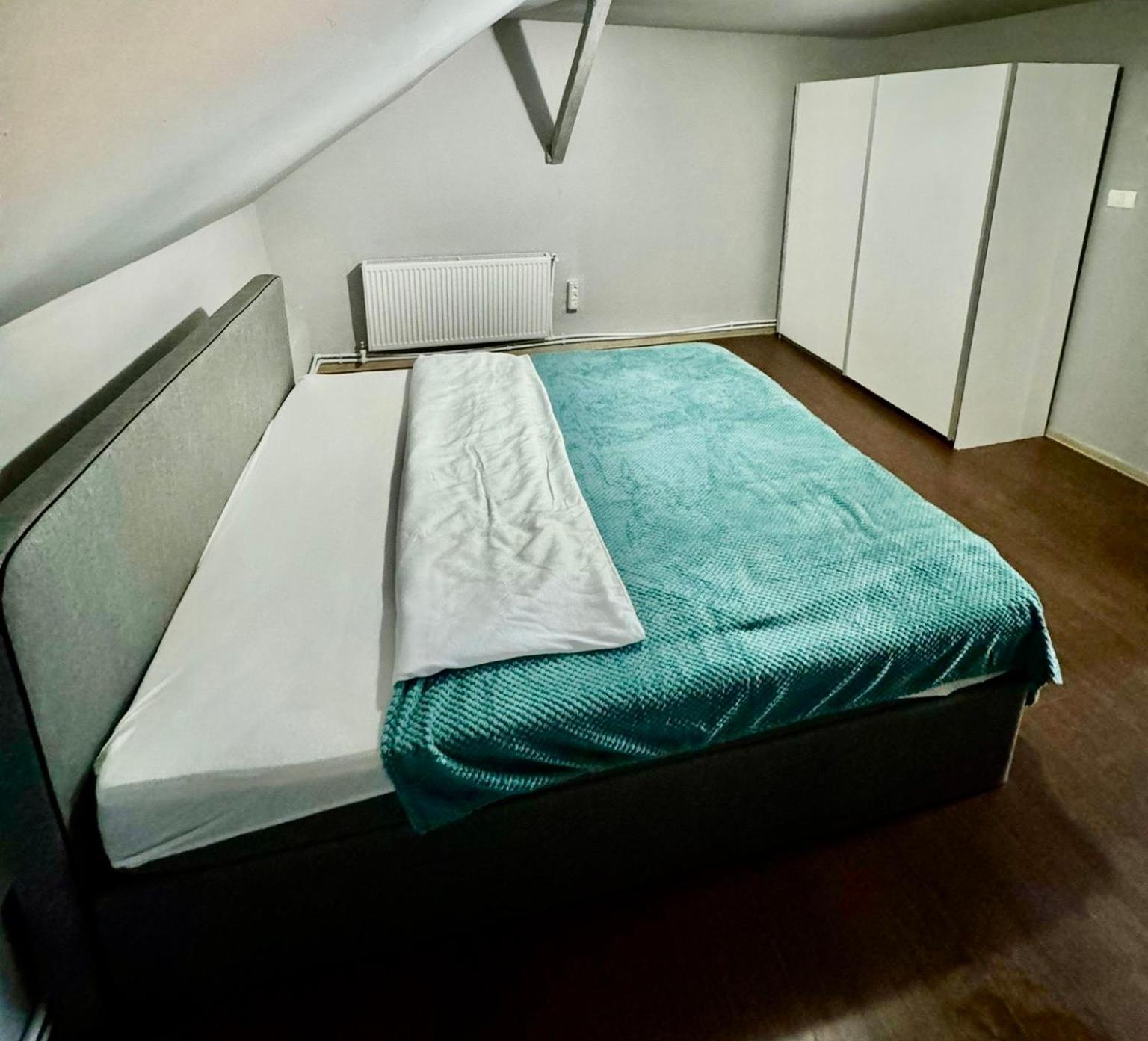 Serbian House Panzió Temesvár Kültér fotó